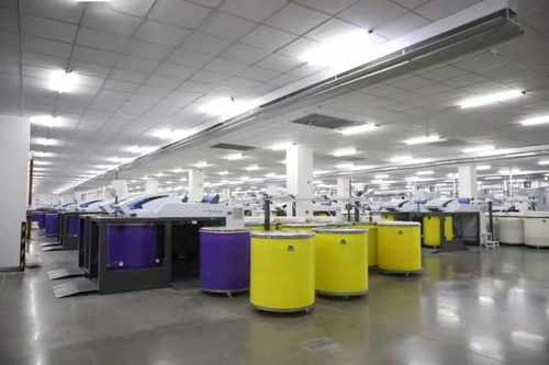 天之華集團(tuán)獲授國家渦流紡紗線產(chǎn)品開發(fā)基地，推動紡織產(chǎn)業(yè)創(chuàng)新升級